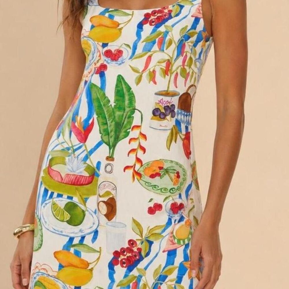 Farm-rio Women's multi Dress